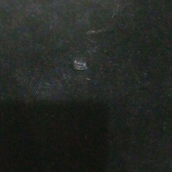 Ms. Chaus Black Velvet Blazer  size Medium - Picture 5 of 9